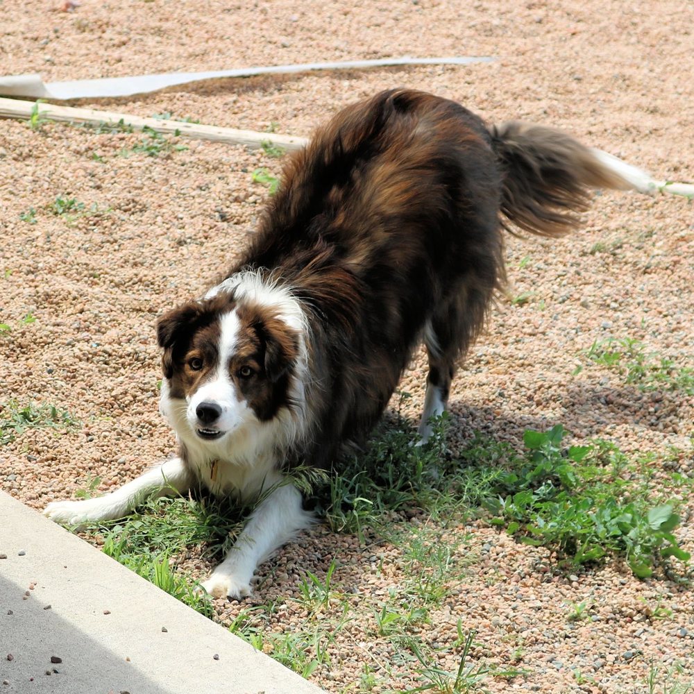 Meet your Posher, Sally